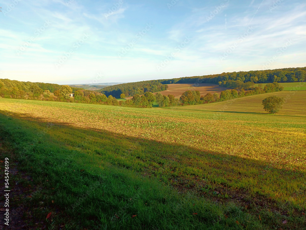 Landschaft mit Wiese und Wald in der Nahe-Region von Rheinland-Pfalz auf dem Premium-Wanderweg Vitaltour Kuckucksweg bei Hergenfeld im Landkreis-Bad Kreuznach. 
