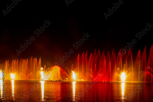 fountain in the night