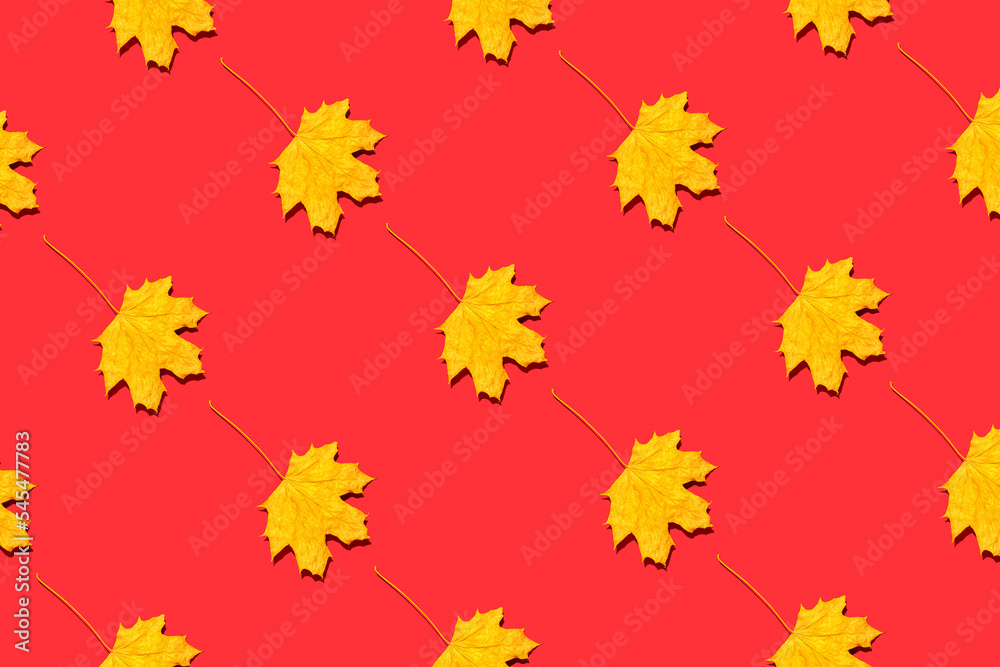 Yellow autumn leaves on red background Yellow autumn leaves on red background