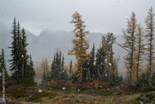Fall colors and fresh snow in the Cascades