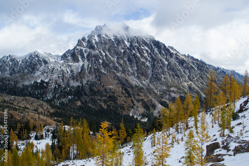 Snow covered Mount Stuart with larches