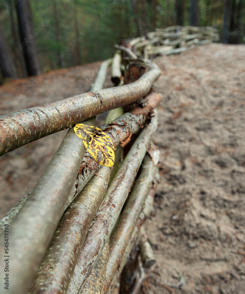 Yellow leaf on the wooden fence. Yellow leaf on the wooden fence.