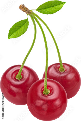 Cherry berry isolated 