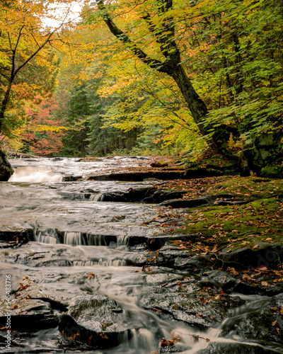 Autumn river in forest