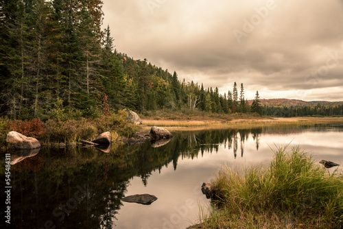 reflection of trees in the lake