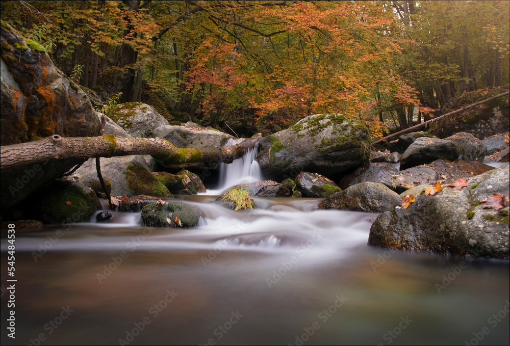 Long exposure of mountain stream during autumn foliage - calming image - serenity - Source of the Po river, Piedmont, Italy