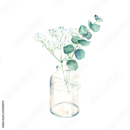 Eucalyptus and gypsophila branches in vase, jar. Watercolor hand drawn botanical illustration isolated on white background. Eco minimalistic style for greeting card, poster.
