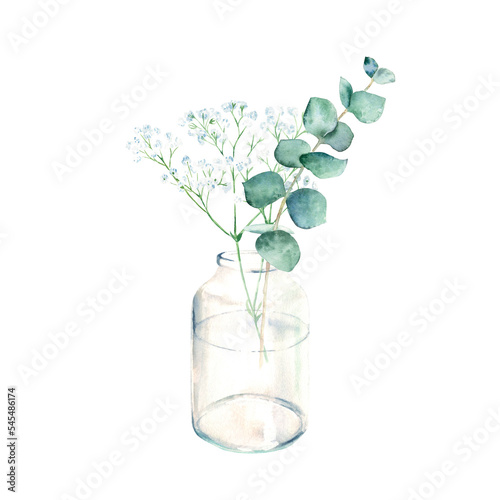 Eucalyptus and gypsophila branches in vase, jar. Watercolor hand drawn botanical illustration isolated on white background. Eco minimalistic style for greeting card, poster. © Tatiana