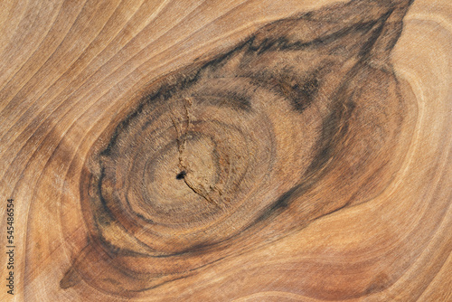 Walnut tree wood texture. Natural wooden pattern for backgrounds, banners or headers