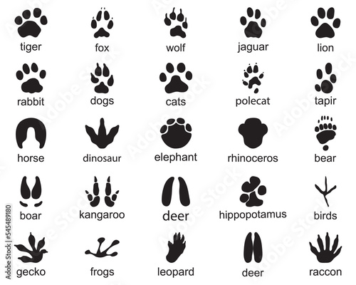 Set of footprints of wild animals, illustration of black silhouette photo