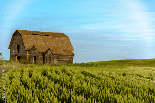 old barn in the field