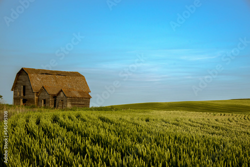 old barn in the field