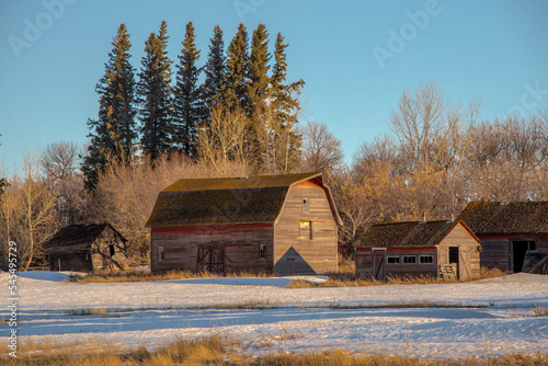 barn in winter