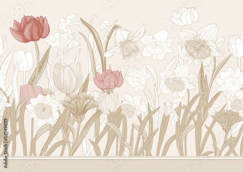White daffodils and tulips flowers, the early spring flowers. Seamless border pattern, linear ornament, ribbon Vector illustration. In botanical style