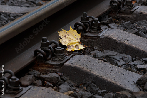 A fallen autumn maple leaf lies next to train tracks, sleepers and rail fastenings