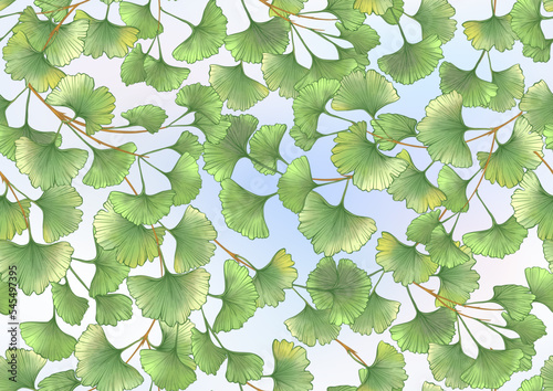 Ginkgo biloba leaves. Seamless pattern, background. Vector illustration. In botanical style