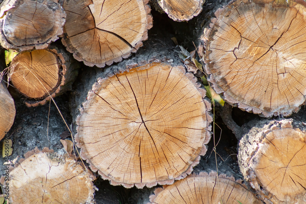 Background of wooden logs, closeup of stacked of wood logs Background of wooden logs, closeup of stacked of wood logs