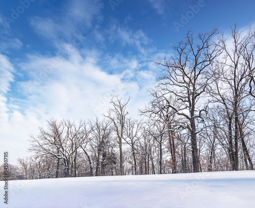 Beautiful park in the winter © gannusya