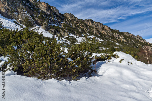 Winter landscape of Rila Mountain near Malyovitsa peak, Bulgaria