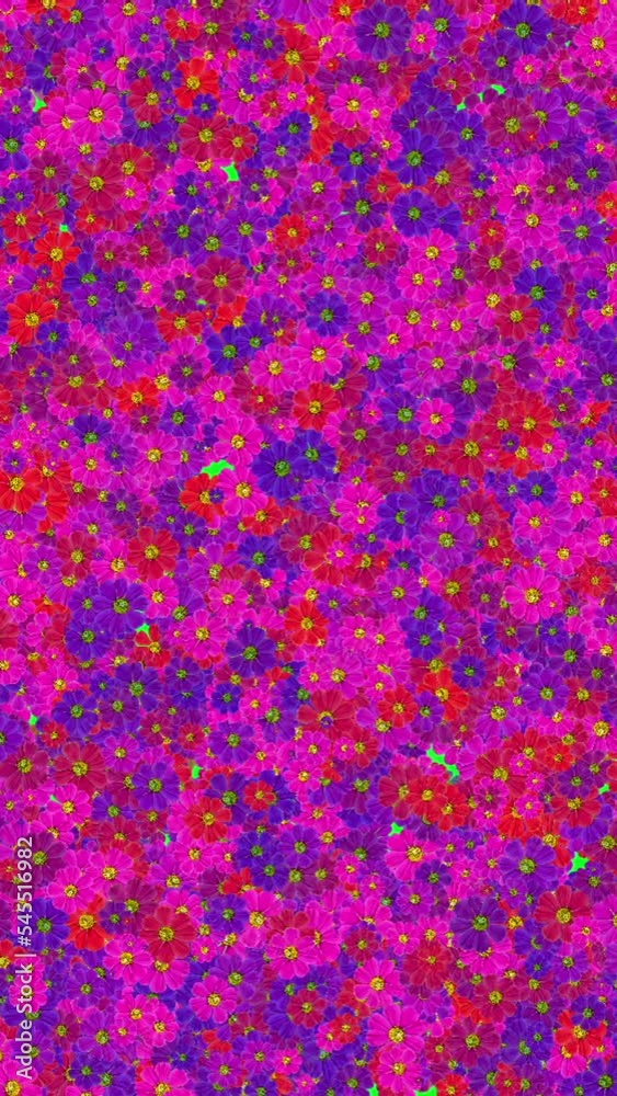 Colorful Rotating Blooming Flowers Animation