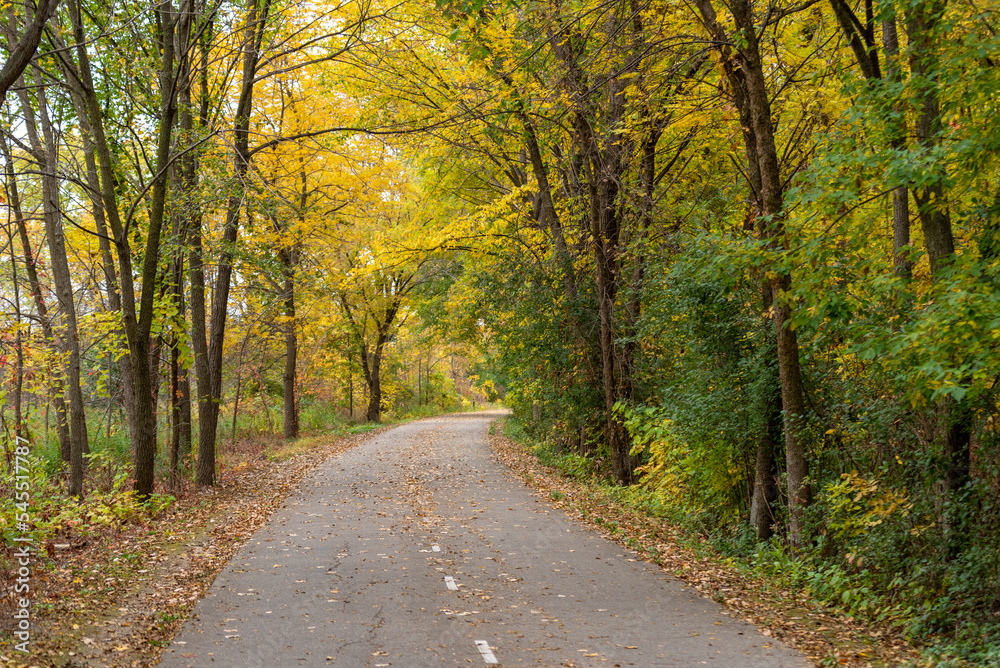 Trees In Fall Color Along The Local Trail In October Trees In Fall Color Along The Local Trail In October