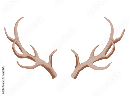 Horns. Hunting trophy.  horned wild animal. Pairs of antlers.  illustration of hunted animal  wildlife decoration concept