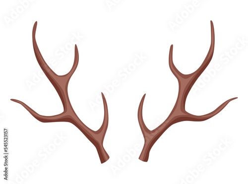Horns. Hunting trophy.  horned wild animal. Pairs of antlers.  illustration of hunted animal, wildlife decoration concept © designer_things