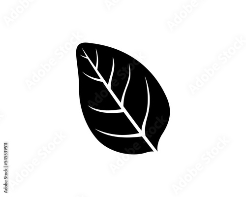 Basil leaf silhouette, black vector icon