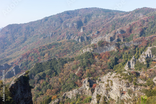 日本の香川県小豆島のとても美しい秋の紅葉