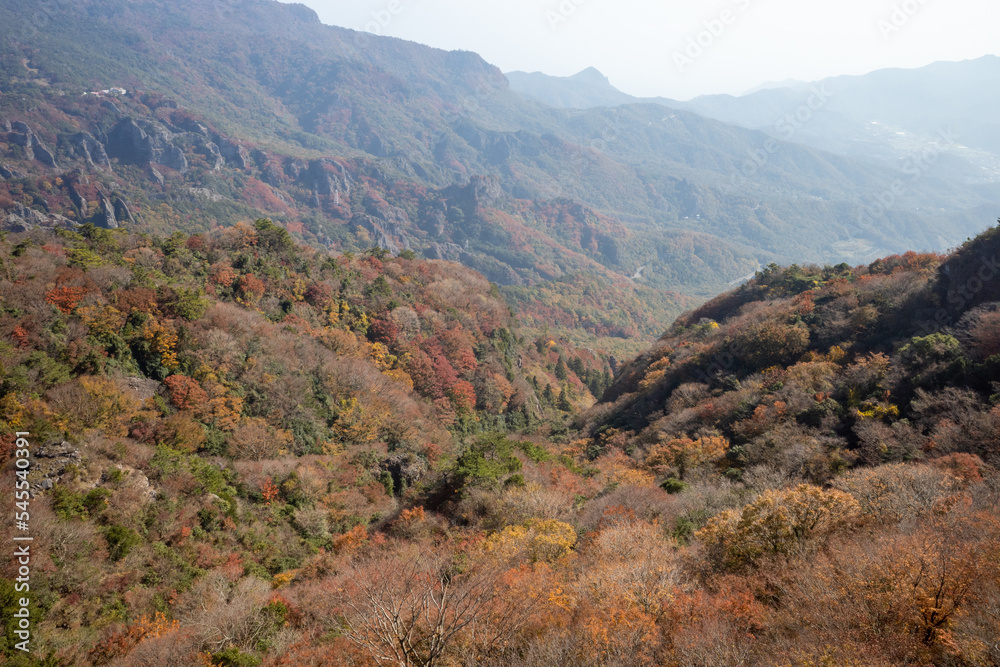 日本の香川県小豆島のとても美しい秋の紅葉