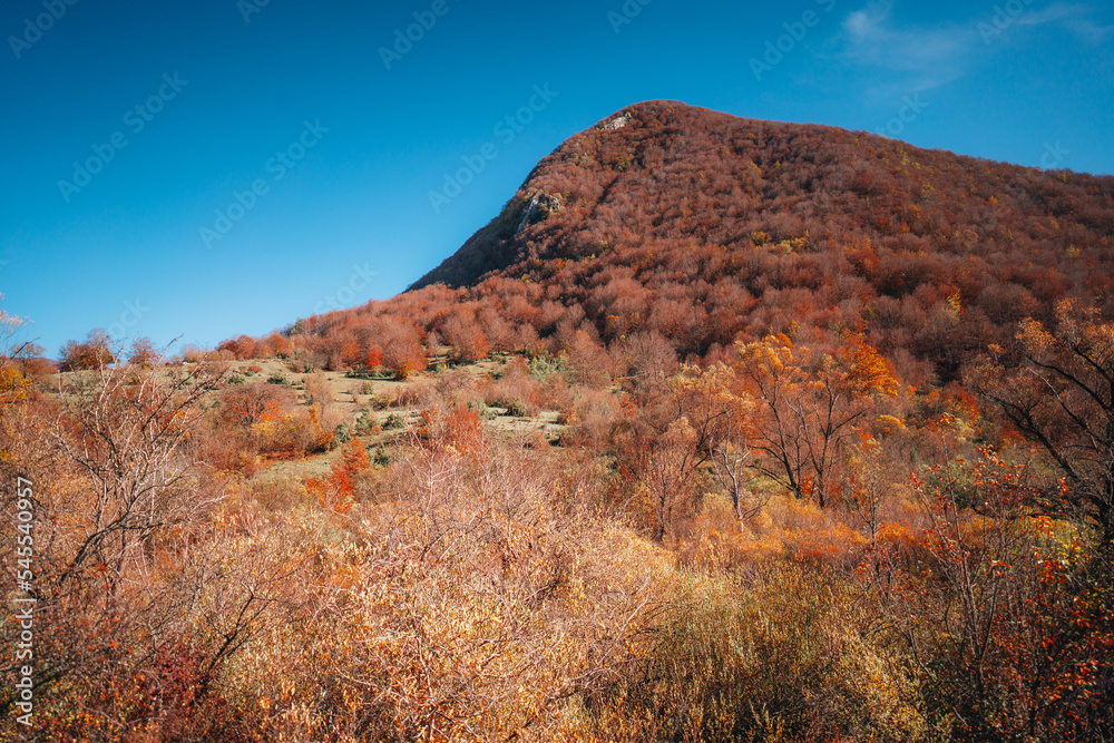 Fototapeta premium colorful autumn foliage Parco Nazionale Abruzzo Italy