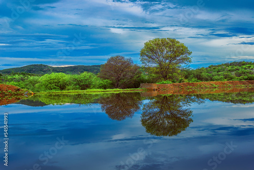 reflexo no lago © Anderson Dantas