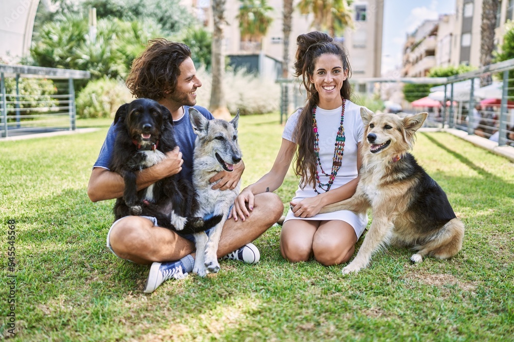 Man and woman couple smiling confident sitting on herb with dogs at park