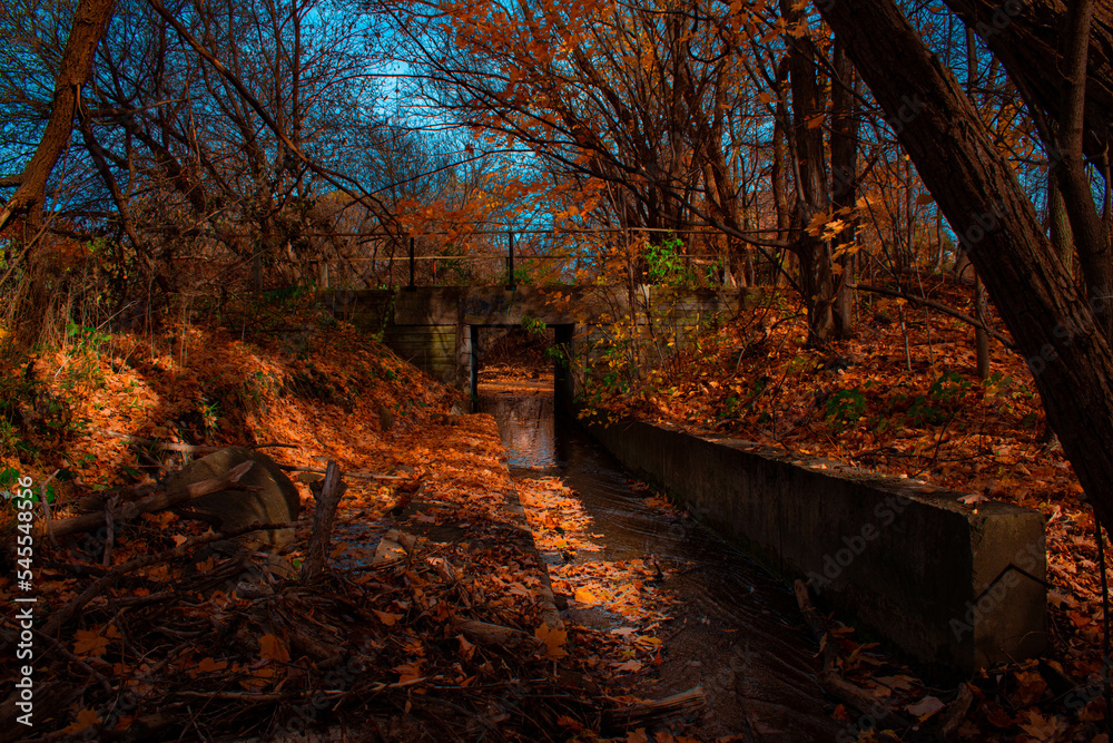 Naklejka premium lonely bridge 