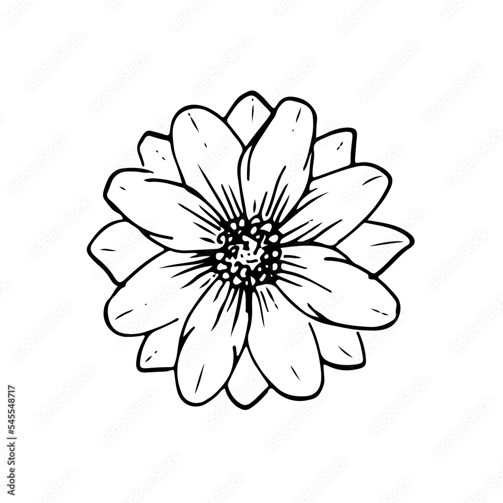 Fototapeta premium wild flowers, dooddle, lineart, vector, illustration, hand drawing