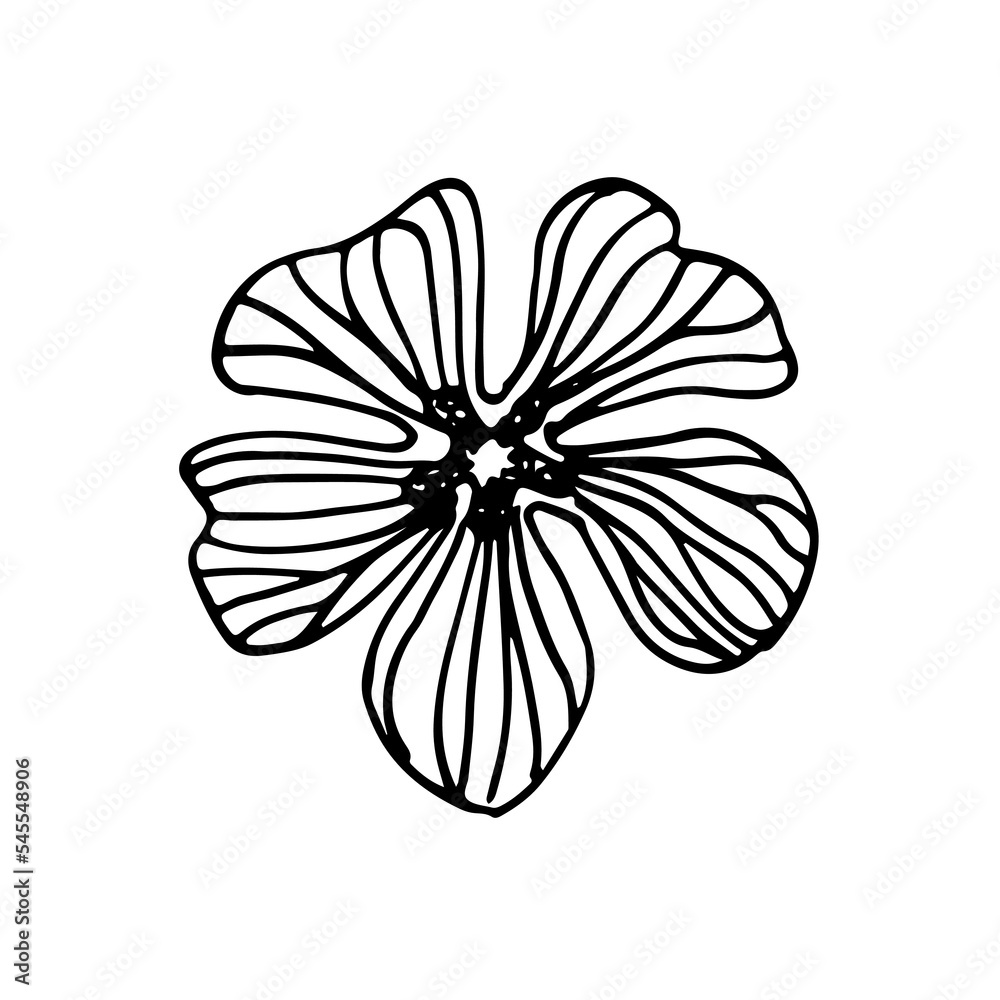 Fototapeta premium wild flowers, dooddle, lineart, vector, illustration, hand drawing