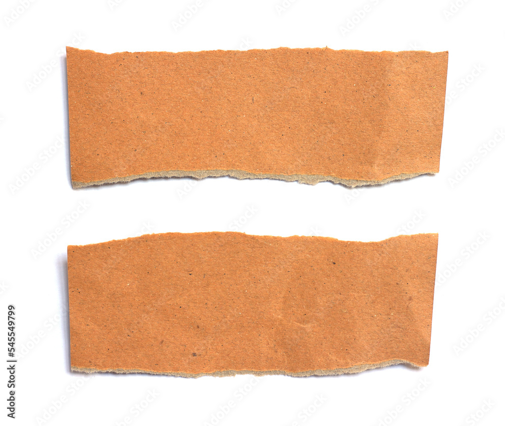 ripped paper on white background and have copy space for design in your work. ripped paper on white background and have copy space for design in your work.