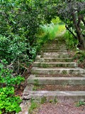Mountain Trail Stairs with Greenery