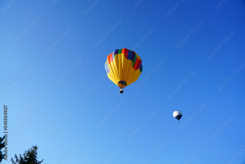 Naklejka premium Wisconsin Hot Air Balloon Rally