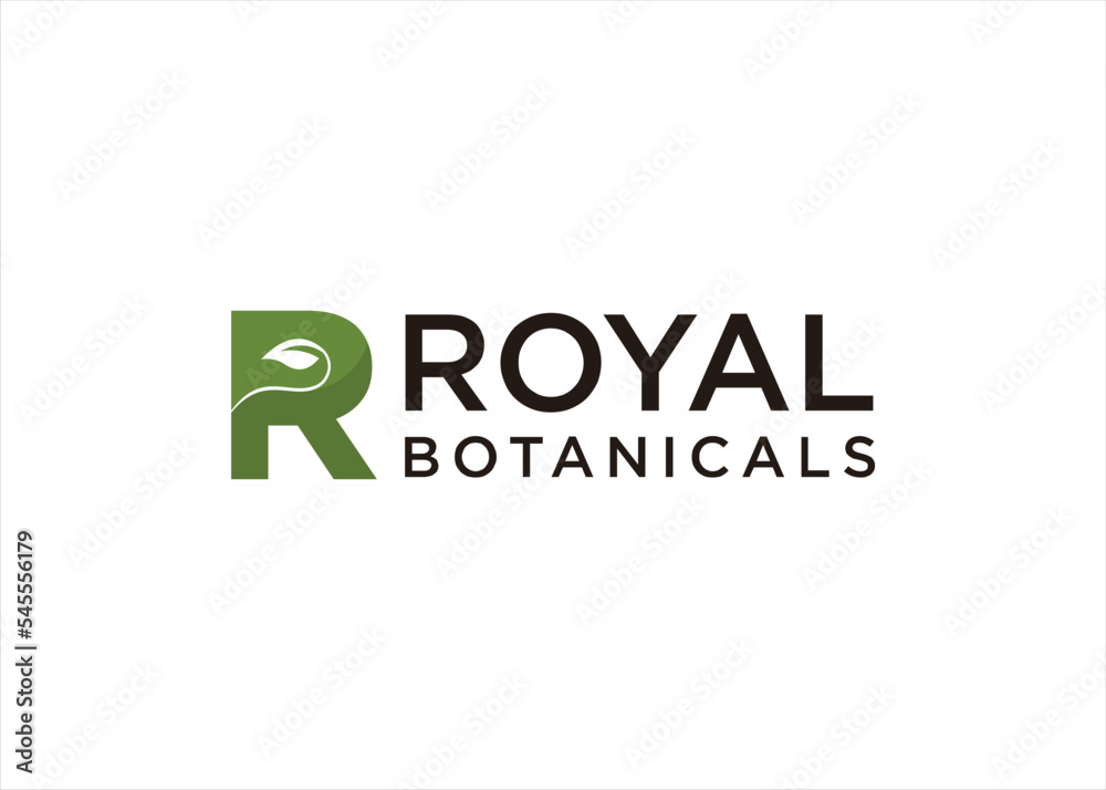 r logo design organic eco plant herbal nature leaf concept
