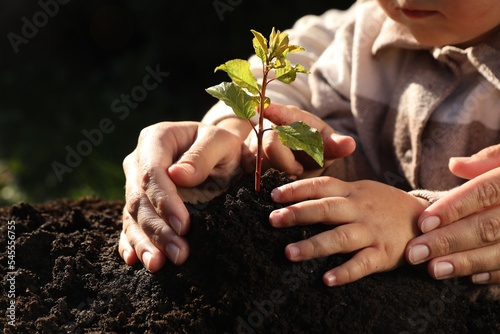 Mother and daughter planting young tree in garden, closeup