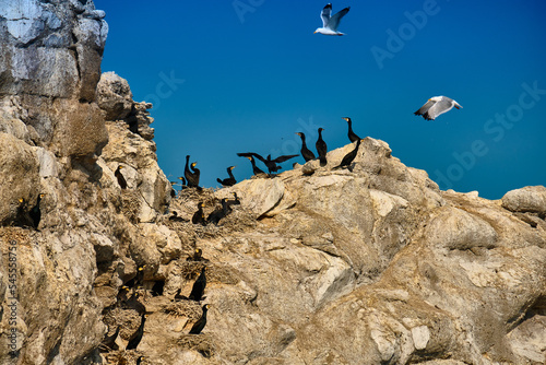 Barguzinsky Bay of Lake Baikal in the Buryat Republic in the daytime with a clear sun. photo