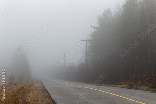 Fog covered road 
