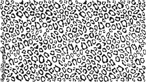 Black and White Leopard pattern design  vector illustration background 02