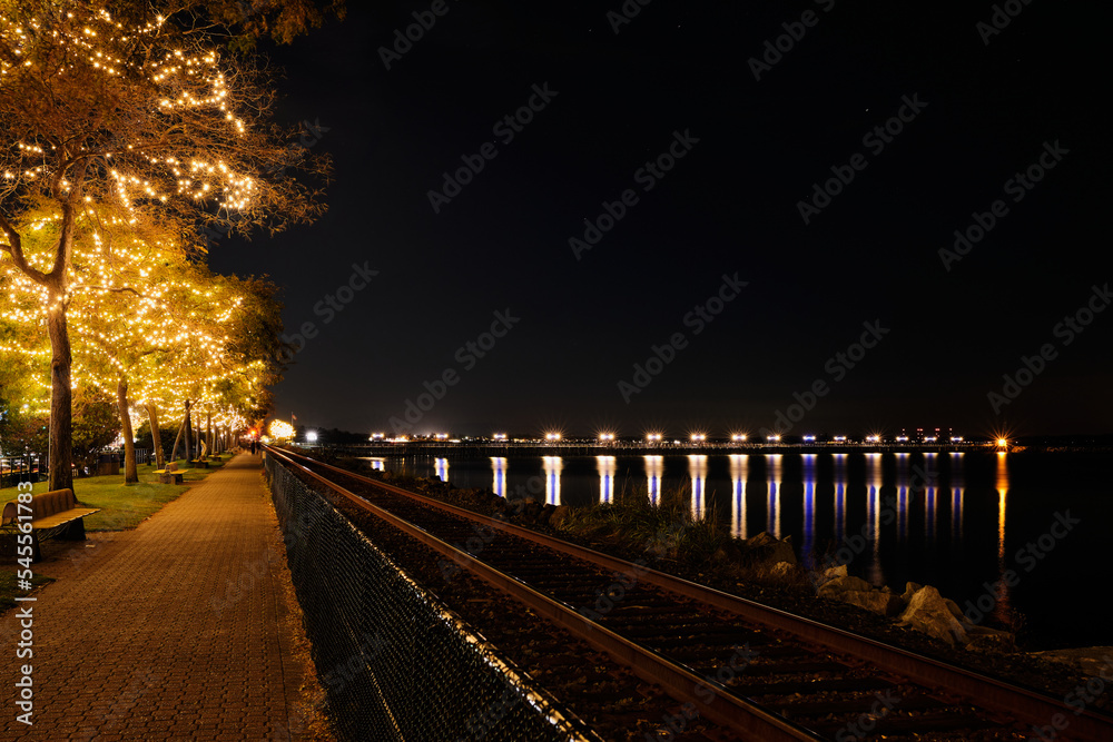 White Rock's waterfront with colourful lights on pier and trees.