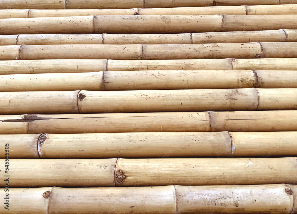 Bamboo fence background. Natural texture Bamboo fence background. Natural texture