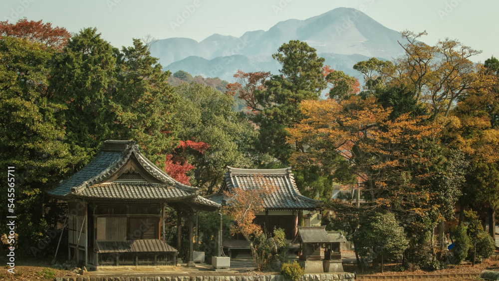 滋賀の名峰、伊吹山と神社が見える秋景色