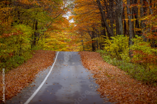 Michigan in Autumn