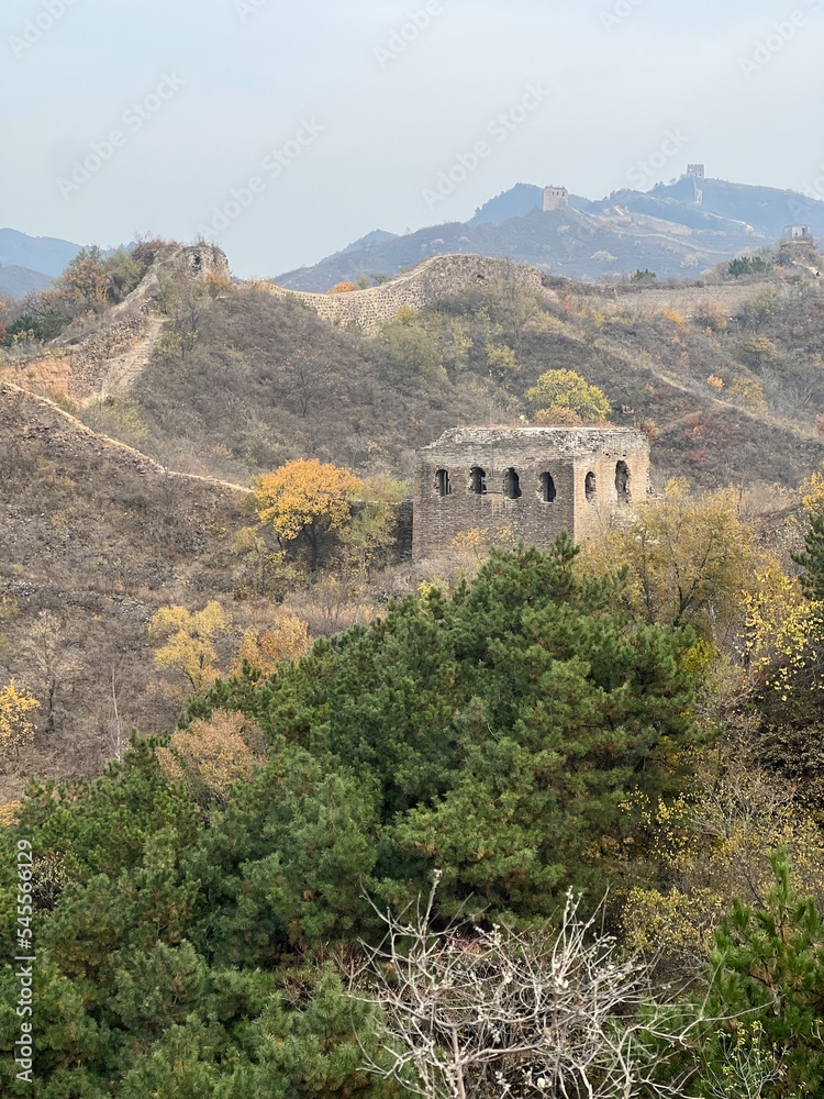 Fototapeta premium The Great Wall in China - in autumn season