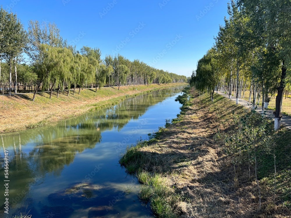 Calm river in the forest Calm river in the forest